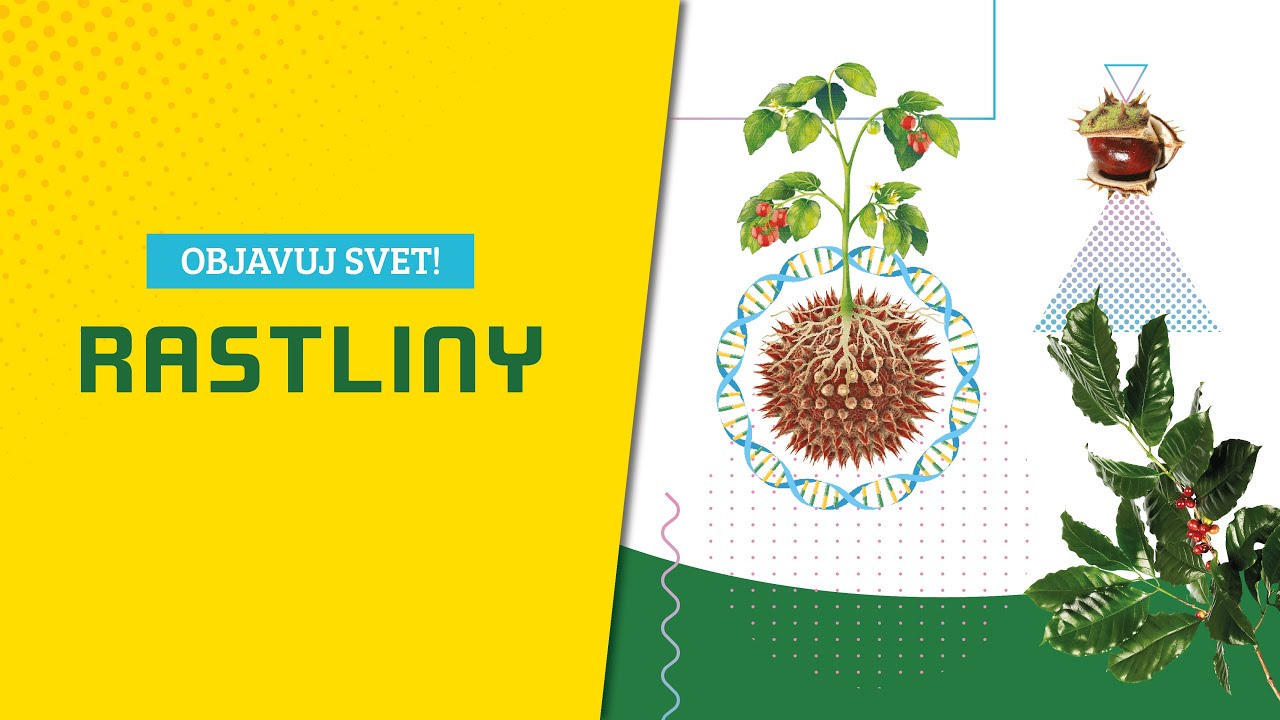 Rastliny - Albi Science