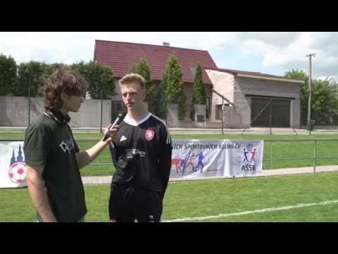 Set of interviews BRA  vs. CZE