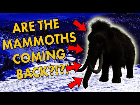I Miss Mammoths