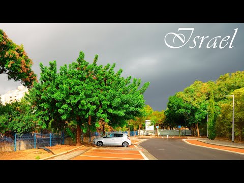 The Long-Awaited Rain in Israel. Relaxing Walk in The Rain in Ness Ziona