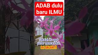 Thumbnail Stoikisme Dalanan