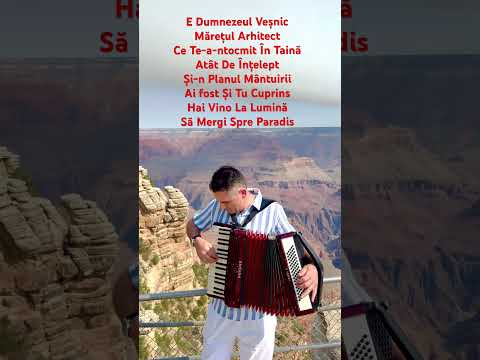 VINTAGE ACCORDION HOHNER VERDI II image 7