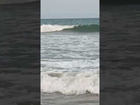 beach ⛱️⛱️⛱️⛱️