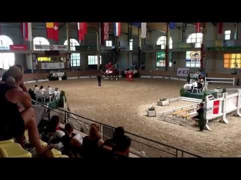 CVIO Stadl Paura 2014 - VV Ingelsberg 1 - Freestyle