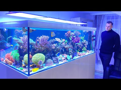 GERMAN REEF TANKS - "next level" Reef Aquarium TOUR - 1500 liter / 400 gallon + Acanthurus Achilles