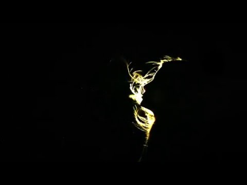Modeling - Rupture (Official Visual)