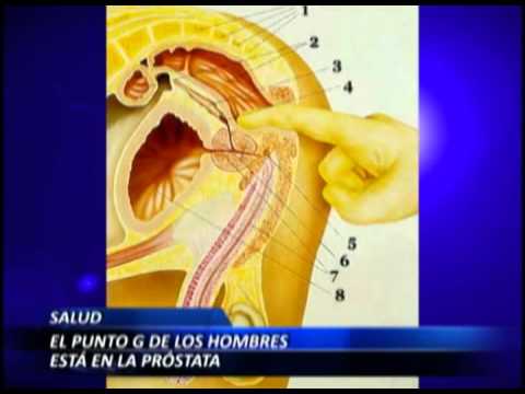 Trattamento prostatite a Vologda Volume della prostata 23