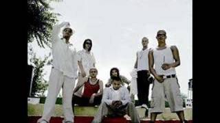 culcha candela- besonderer Tag