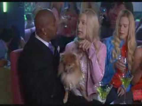 Terry Crews - White Chicks 07