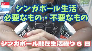 【シンガポール駐在生活残り6日】シンガポール生活で必要なもの・不要なもの