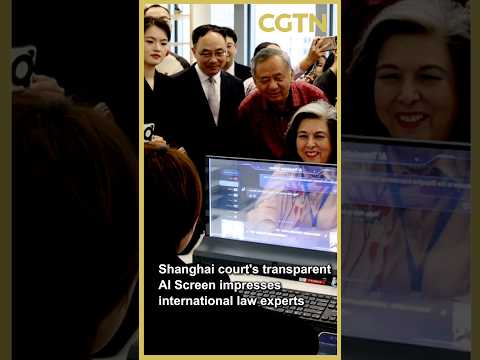 Shanghai court's transparent AI Screen impresses law experts