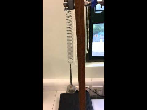Traditional experiment- simple harmonic motion on spring