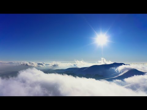 Göttliches in Gefangenschaft