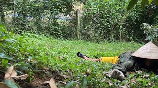 Hồi ký kiệt sức khi Thu hoạch Sầu riêng Khánh Sơn vụ mùa 2025 (đợt 2, phần cuối)