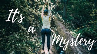 YOU'D NEVER BELIEVE WHERE I WENT... | #VANLIFE