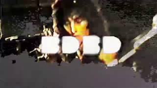 BIGDOGBRODAVE Presents SACRED RITE performs BEATLES Eleanor Rigby