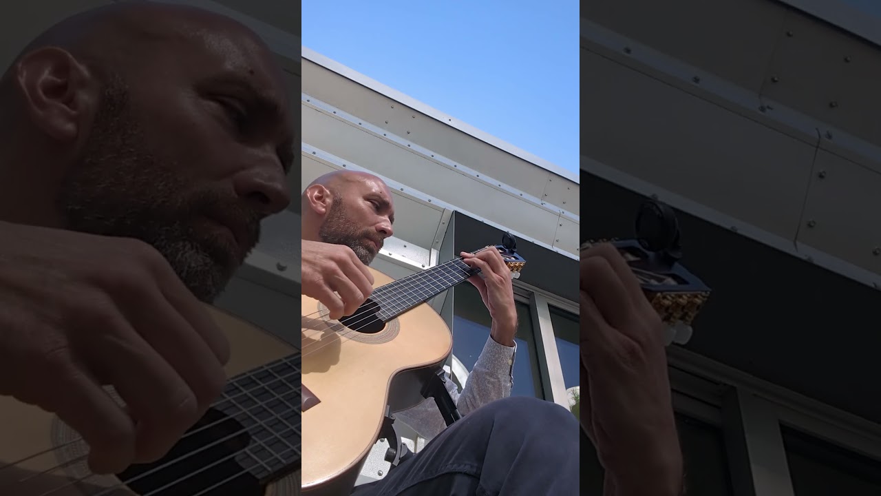 Promotional video thumbnail 2 for Michael Mangrum - Guitar