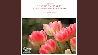 Albinoni : Adagio In G Minor