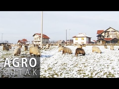 Agro Kutak 39 - Život poljoprivrednika u Doknju i Solini