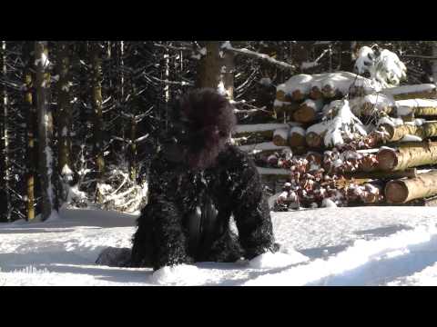 Crazy monkey on quad (Bonusvideo)