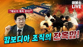 유튜브 썸네일