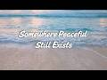 Somewhere Peaceful Still Exists – 1 Hour of Relaxing Shoreline Waves to Unwind