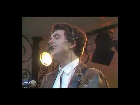 The Icicle Works  'A Factory In The Desert' Recorded live at Sefton Park for OGWT HD