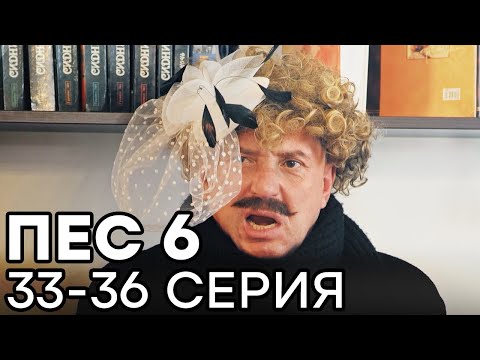 Сериал ПЕС 6 СЕЗОН - 33 - 36 серия - ВСЕ СЕРИИ ПОДРЯД | СЕРИАЛЫ ICTV