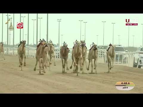  ش 6 (شهاب) لـ هجن أم الزبار  9:16:69 , مهرجان المؤسس 2025/12/15 ايذاع  