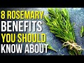 8 Benefits Of Rosemary You Should Know Rosemary Uses And Benefits