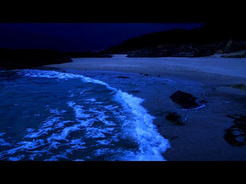 Let Ocean Sounds Guide You Into a Deep Sleep, Close Your Eyes And Imagine