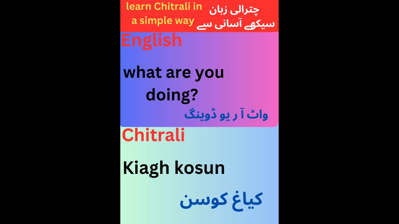 learn chitrali with us|simple way to learn chitrali language#youtube #chitral