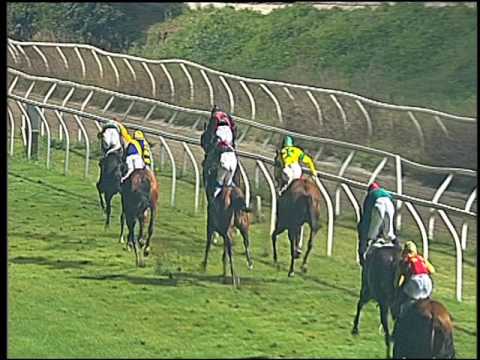 Galoppo 16/11/2016 - 6ª corsa