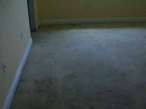 13224 SW 144 Terrace