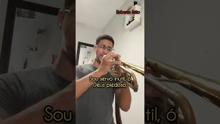 Hino 260 CCB Sou servo inútil