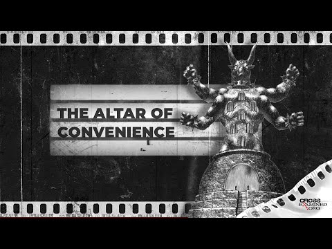 vp-g13