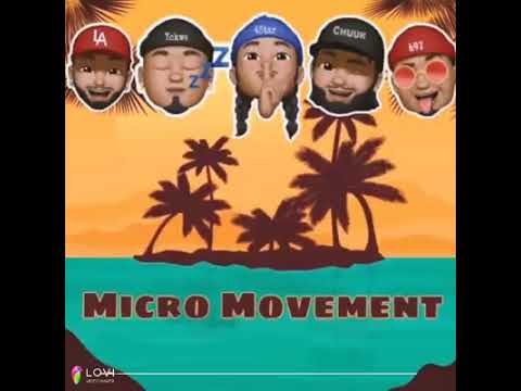 Micro Movements- MicroMoves