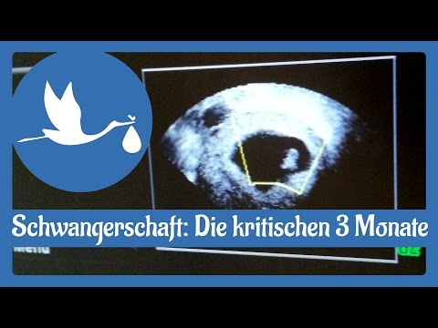 Symptome der Brustwirbelsäule Probleme Werbe-Salbe für Gelenke
