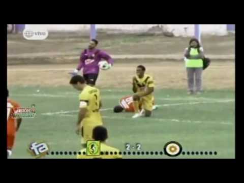 Resumen GOLES de la Segunda Profesional 2016 - Fecha 14