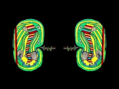 The Zombies - The Way I Feel Inside (Nader and the Trees cover)