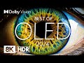 BEST OLED 2024 | DOLBY VISION® (8K HDR)