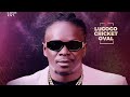 THE BEST OF KING SAHA 2025 NEW UGANDAN NON STOP DJ MENTAMATIC