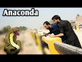 Anaconda in Peshawar it's  reality || zindabad vines || pashto funny video