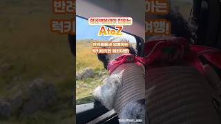 첨부이미지