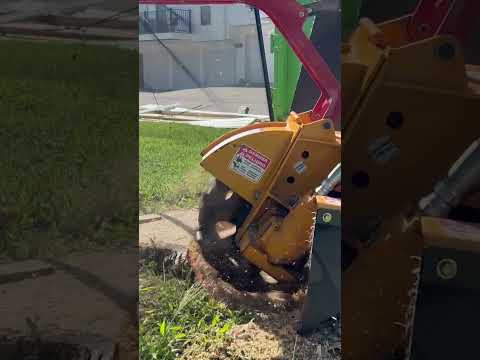 Stump Removal Process