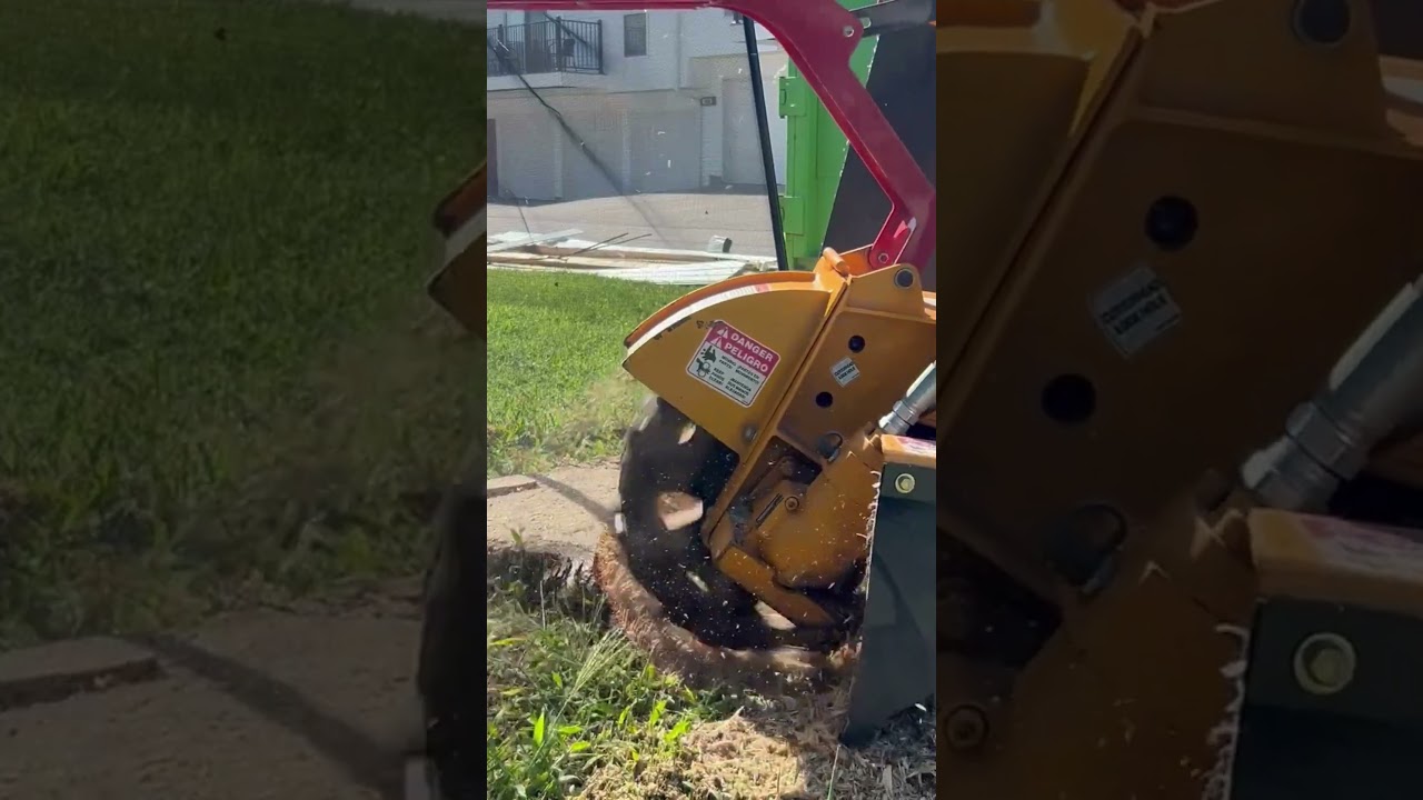 Stump Removal Process