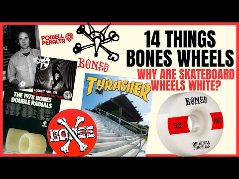 14 Things You Didn't Know About Bones Wheels - How they got their name, the logos, the team, & more!