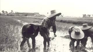 Simonetta Interlandi - Gian Pietro Marazza - Bella Ciao (Mondina).wmv