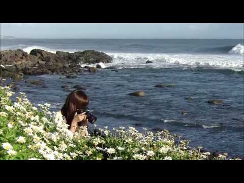 階上町観光PRムービー　三陸復興国立公園 階上海岸エリア