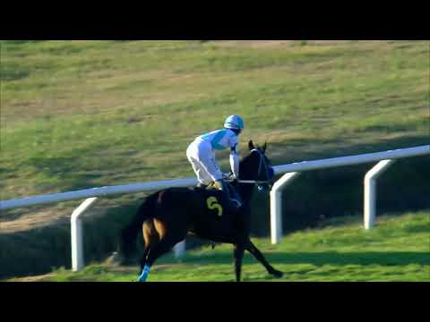 220618 c09 JOUJOU (BRZ)